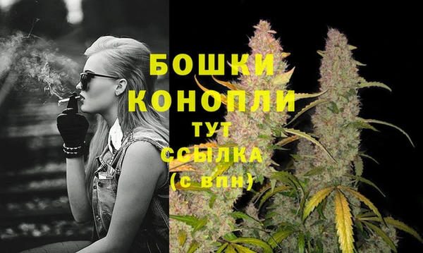 ALPHA PVP Великий Новгород