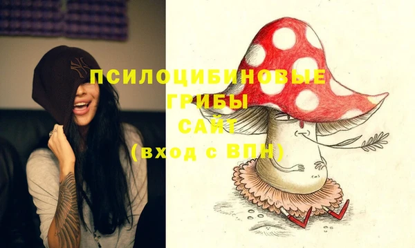 прущие крисы Мегион
