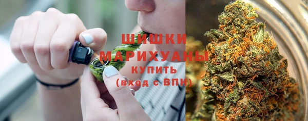 прущие крисы Мегион