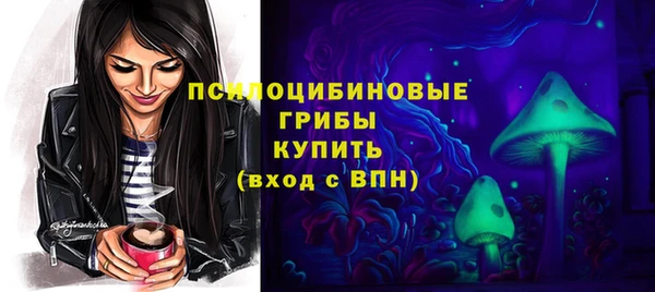 прущие крисы Мегион